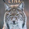 lynxxx